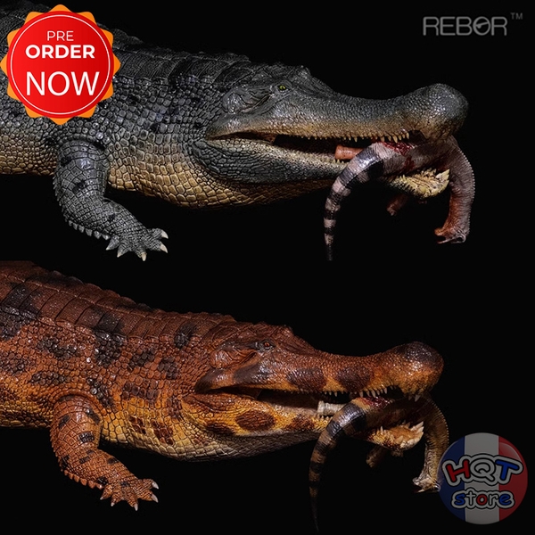 Mô Hình Cá Sấu Cổ Đại Sarcosuchus Imperator REBOR tỉ lệ 1/35