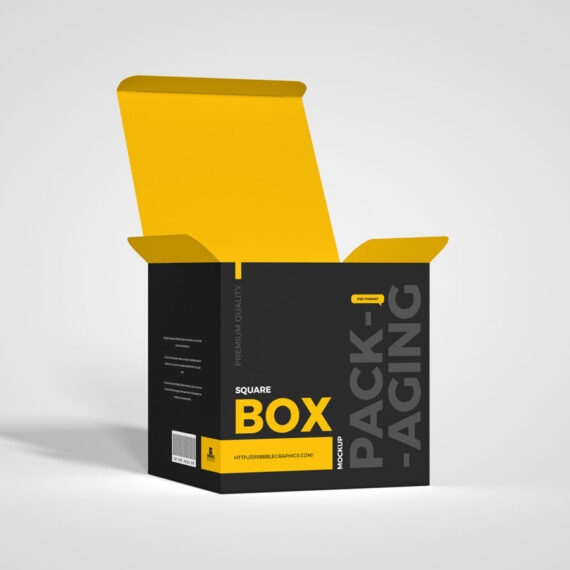 Paper Box - May Long Phu
