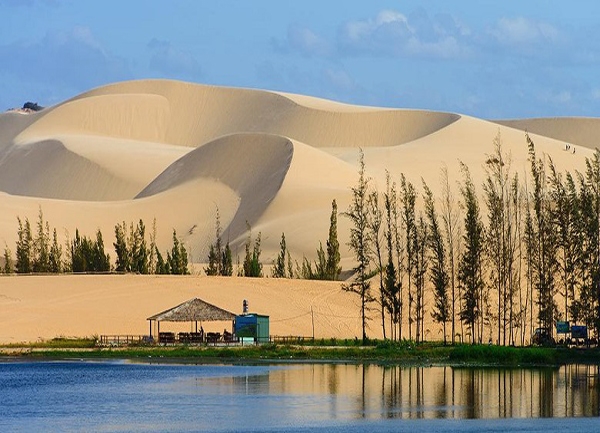 Giá vé tham quan khu du lịch sinh thái Bàu Trắng - Tour Pro