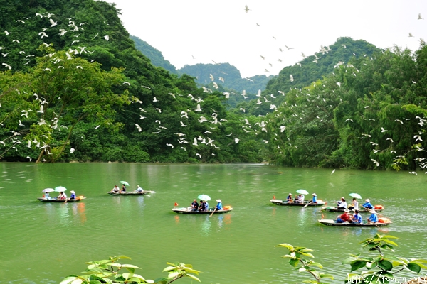 Du khách ngắm chim Thung Nham
