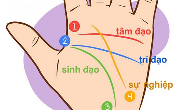 NHÂN TƯỚNG TAY