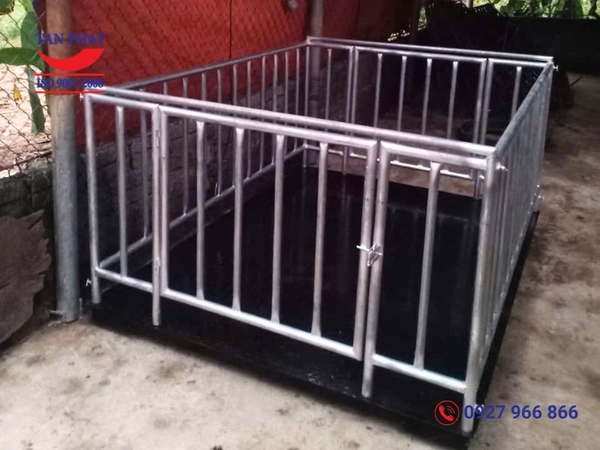 can-san-dien-tu-2-tan-2mx1-2m-co-long