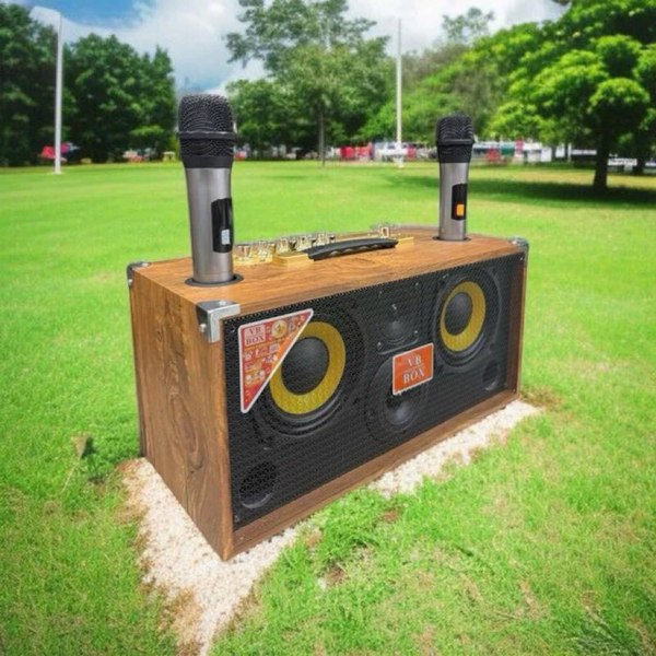 Loa VB Box VB 999 Loa karaoke xách tay bluetooth bass đôi 16cm