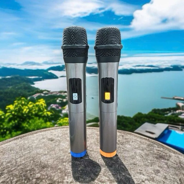 Loa VB Box VB 999 Loa karaoke xách tay bluetooth bass đôi 16cm