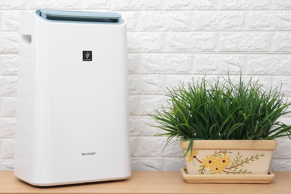 Máy hút ẩm và lọc không khí Sharp DW-E16FA-W (38m2)