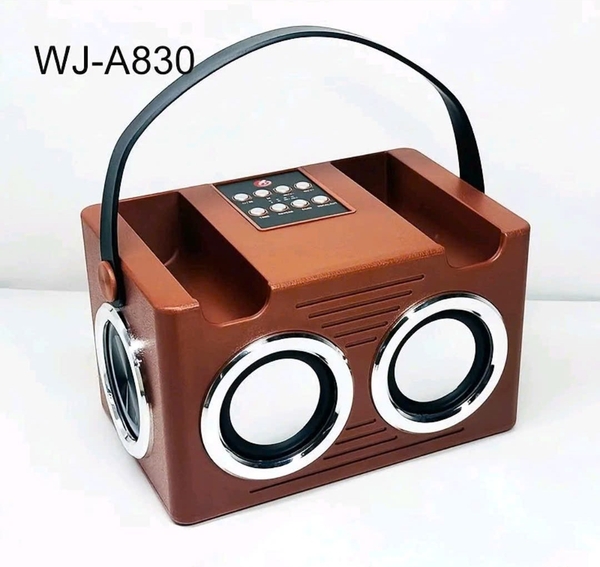 Loa karaoke WJ-A830 bass mạnh tặng kèm 2 micro thay đổi giọng nói