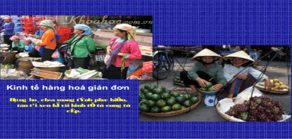 Kinh tế hàng hóa là gì và đặc điểm của chúng