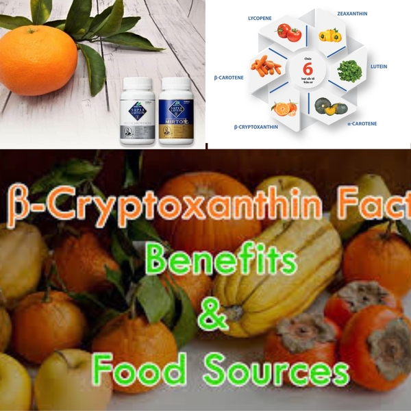 betacryptoxanthin thành phần có trong Super Lutien và super Lutein Mi