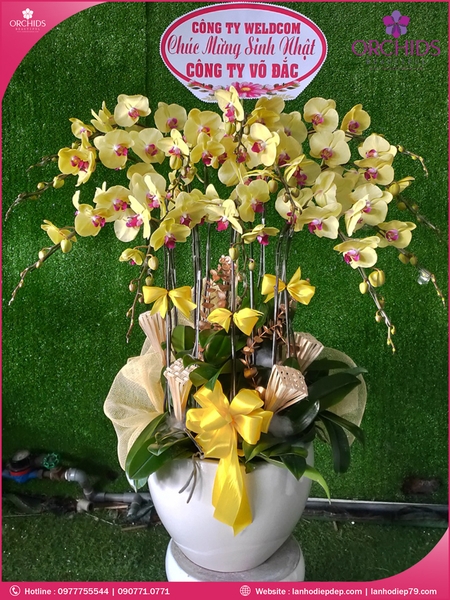 chau-hoa-lam-ho-diep-vang-12-canh-v202