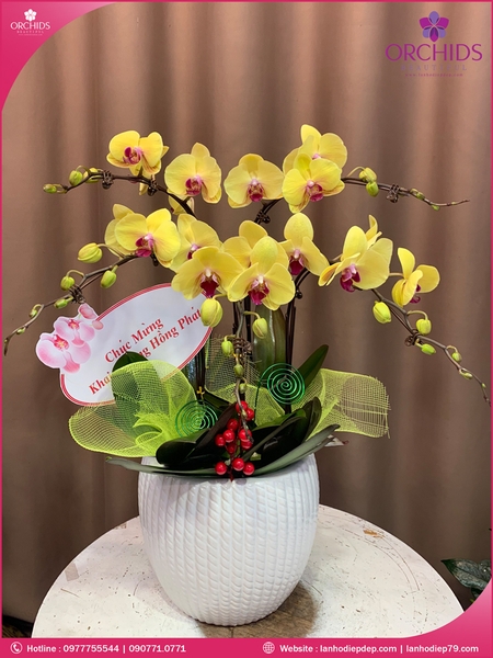 chau-hoa-lam-ho-diep-vang-5-canh-v193
