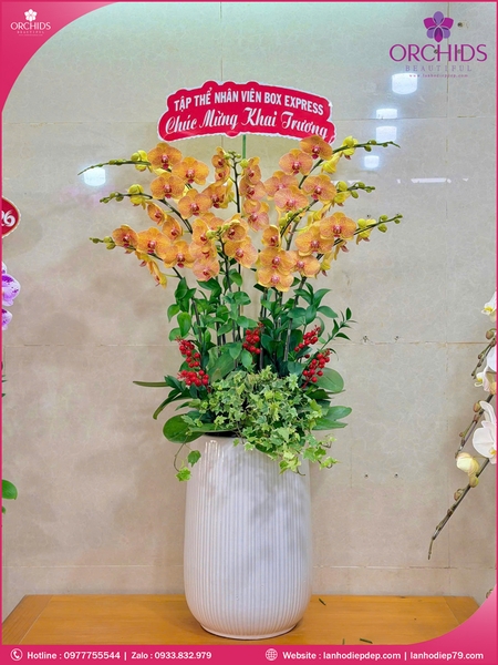 Chau-hoa-lan-ho-điep-cam-9-canh-c90