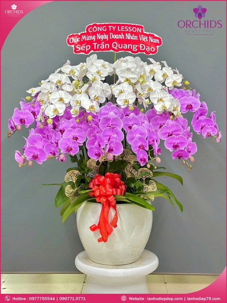 chau-hoa-lan-ho-diep-da-sac-15-canh-ds197
