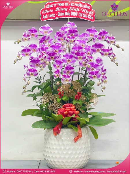 chau-hoa-lan-ho-diep-doc-la-10-canh-d84