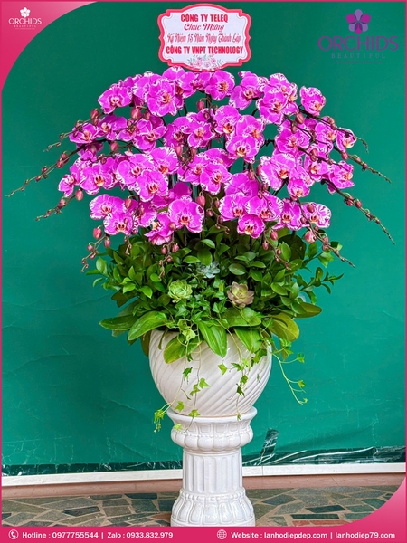 Chau-hoa-lan-ho-điep-doc-la-20-canh-d88