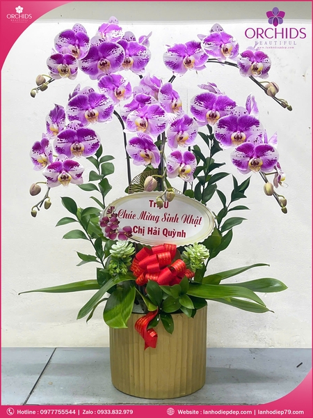 chau-hoa-lan-ho-diep-doc-la-5-canh-d82