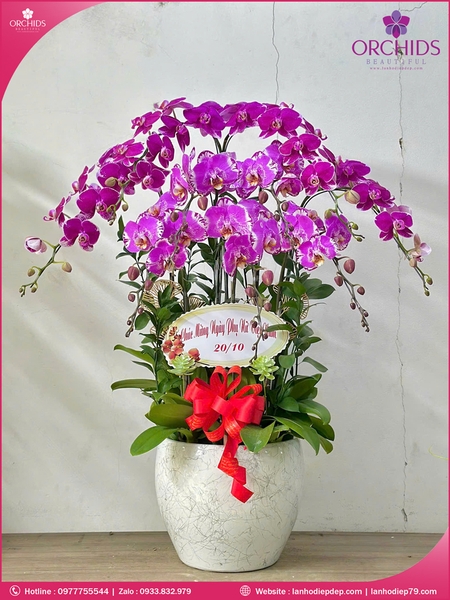 chau-hoa-lan-ho-diep-doc-la-9-canh-d83