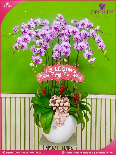 chau-hoa-lan-ho-diep-hong-10-canh-h66