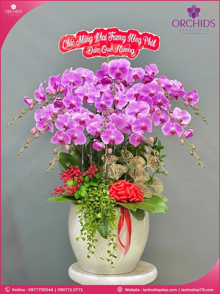 Chau-hoa-lan-ho-diep-hong-12-canh-h243