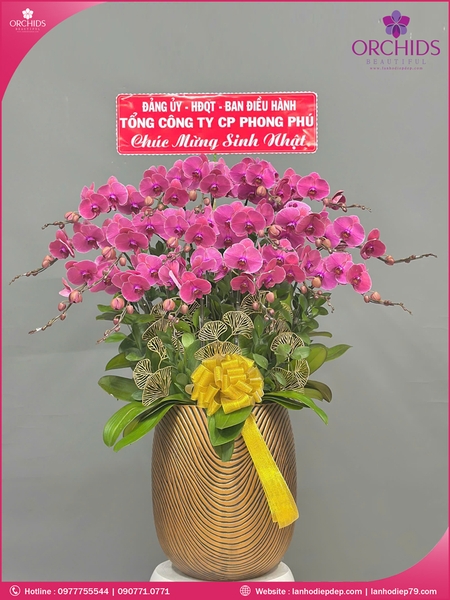 chau-hoa-lan-ho-diep-hong-18-canh-h257