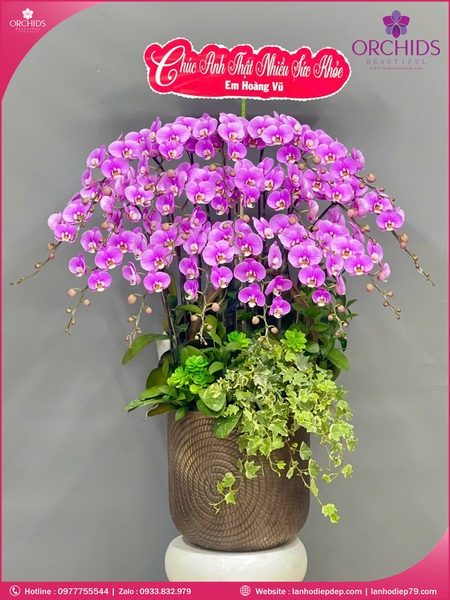 Chau-hoa-lan-ho-diep-hong-18-canh-h269