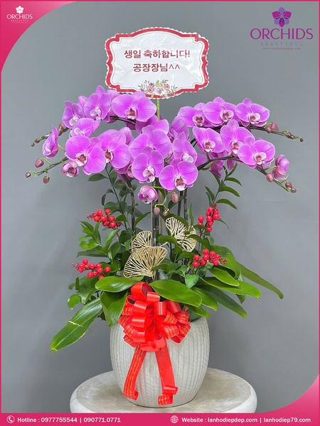 Chau-hoa-lan-ho-diep-hong-5-canh-h228