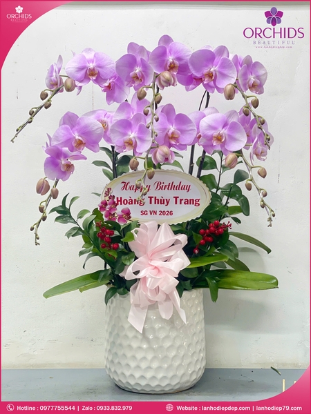 Chau-hoa-lan-ho-điep-hong-6-canh-h290