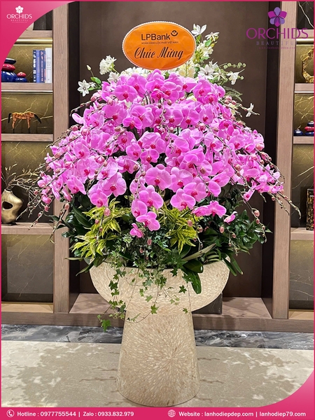 Chau-hoa-lan-ho-điep-hong-65-canh-h286