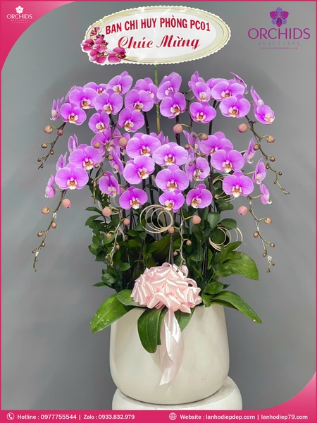 Chau-hoa-lan-ho-diep-hong-8-canh-h263