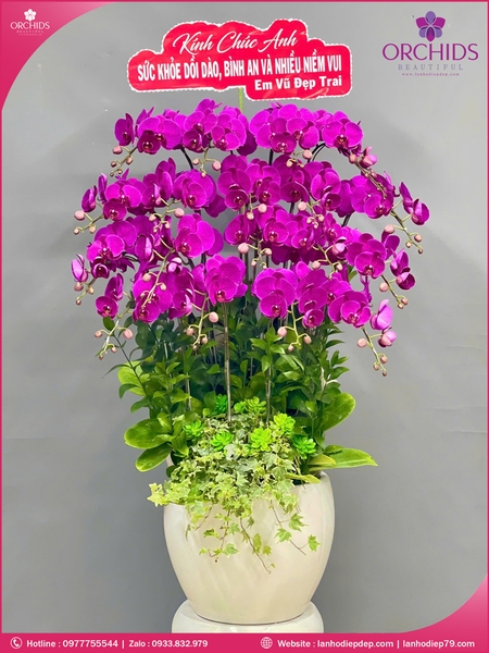 Chau-hoa-lan-ho-diep-tim-18-canh-t195