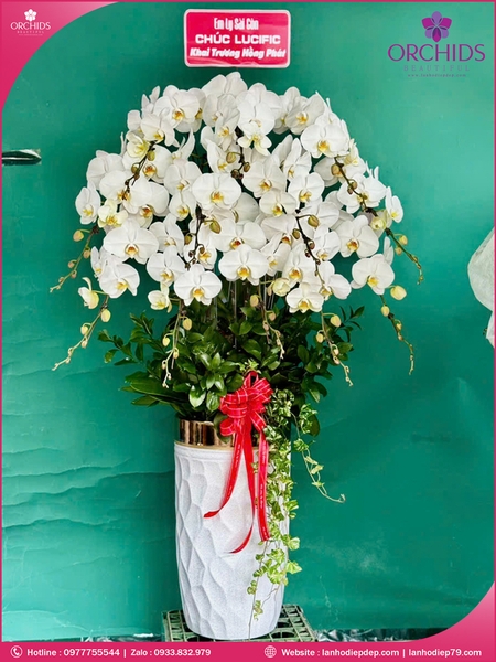 Chau-hoa-lan-ho-diep-trang-12-canh-tr372