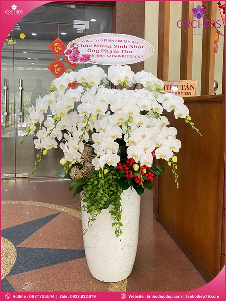 Chau-hoa-lan-ho-diep-trang-15-canh-tr338