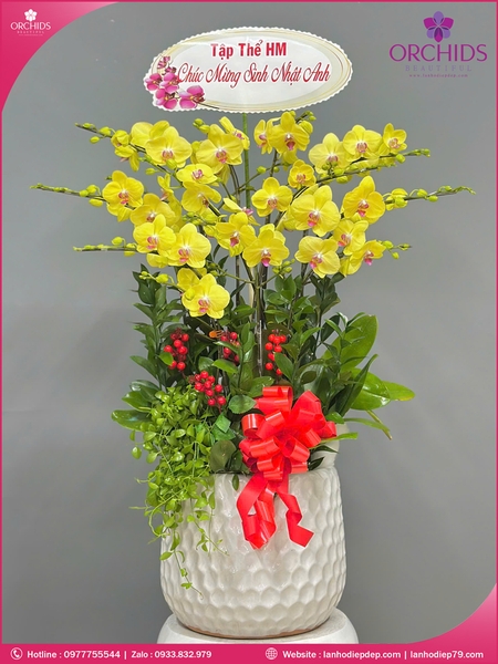 chau-hoa-lan-ho-diep-vang-10-canh-v502