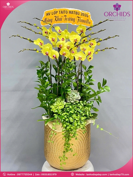 Chau-hoa-lan-ho-điep-vang-10-canh-v522