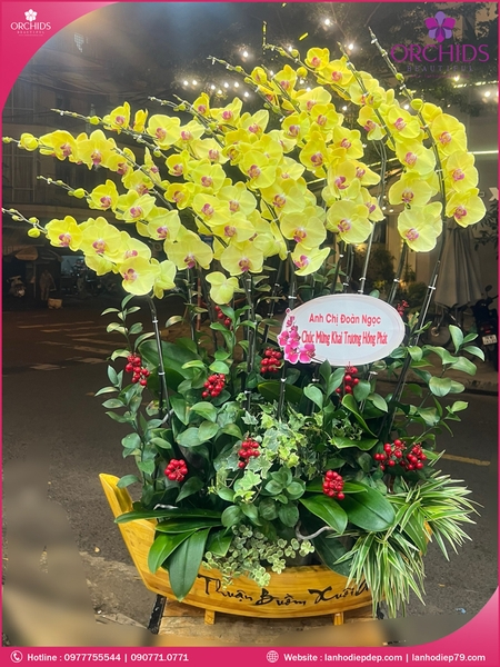 Chau-hoa-lan-ho-diep-vang-15-canh-v362