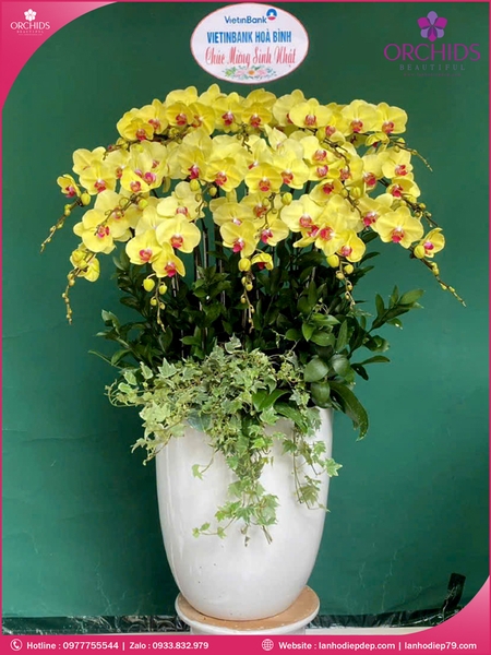 chau-hoa-lan-ho-diep-vang-16-canh-v507