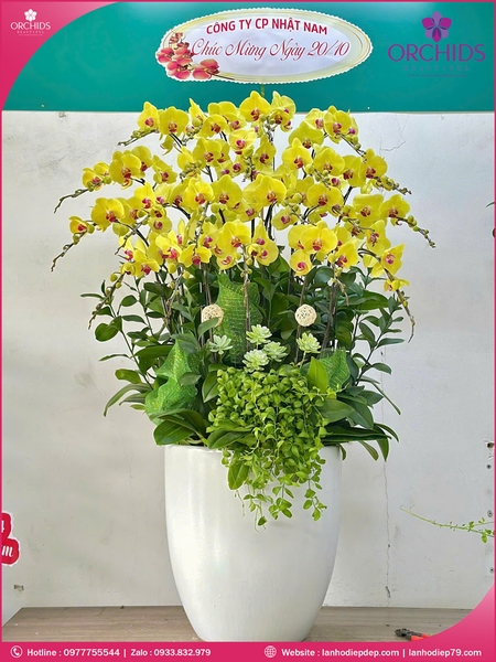 chau-hoa-lan-ho-diep-vang-20-canh-v513