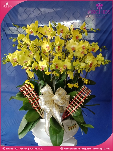 chau-hoa-lan-ho-diep-vang-20-canh-v87