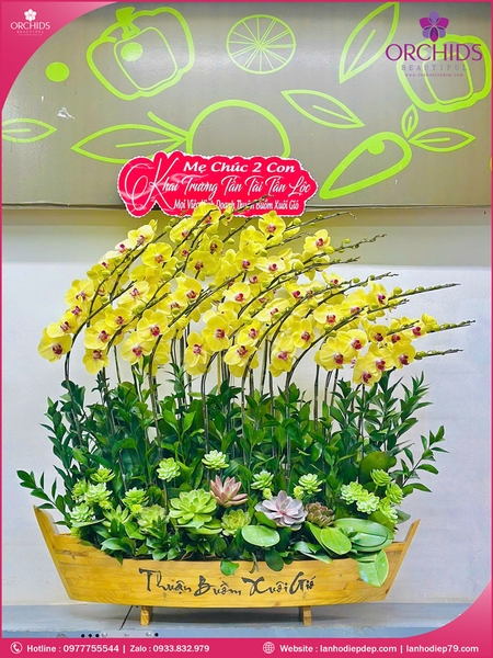 chau-hoa-lan-ho-diep-vang-25-canh-v514