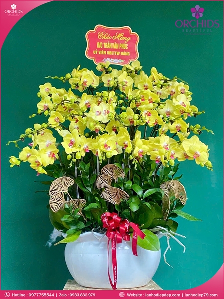 chau-hoa-lan-ho-diep-vang-30-canh-v515