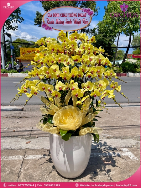 chau-hoa-lan-ho-diep-vang-30-canh-v516