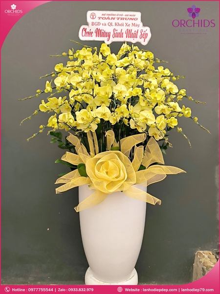 Chau-hoa-lan-ho-điep-vang-30-canh-v529