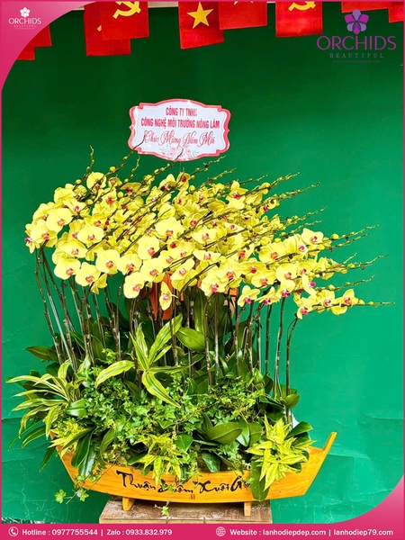 Chau-hoa-lan-ho-điep-vang-39-canh-v549