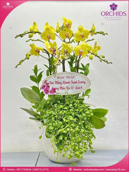 chau-hoa-lan-ho-diep-vang-6-canh-v471