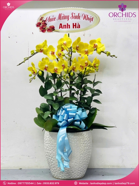 chau-hoa-lan-ho-diep-vang-6-canh-v487