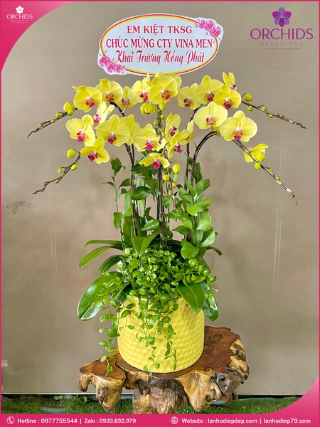 Chau-hoa-lan-ho-điep-vang-6-canh-v535