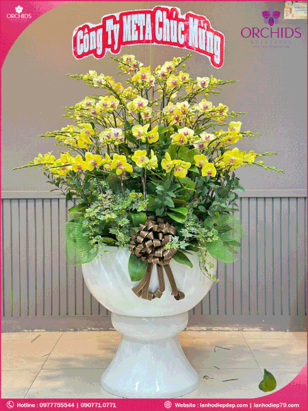 chau-hoa-lan-ho-diep-vang-60-canh-v257