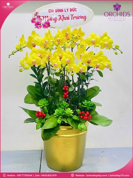 chau-hoa-lan-ho-diep-vang-7-canh-v488