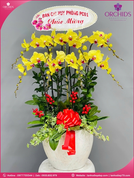 chau-hoa-lan-ho-diep-vang-8-canh-v492