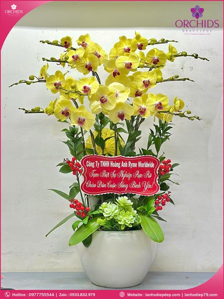 chau-hoa-lan-ho-diep-vang-8-canh-v493