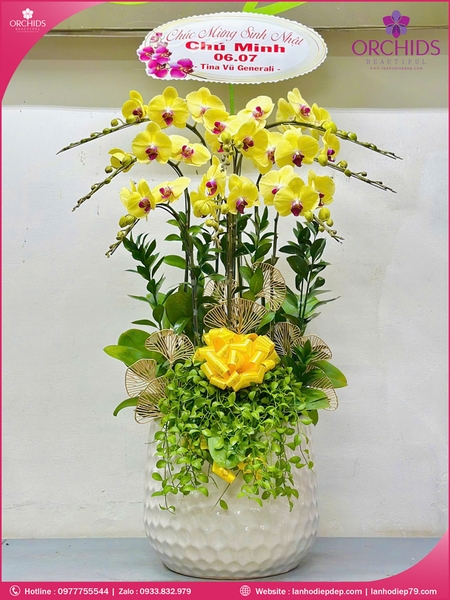 chau-hoa-lan-ho-diep-vang-8-canh-v494